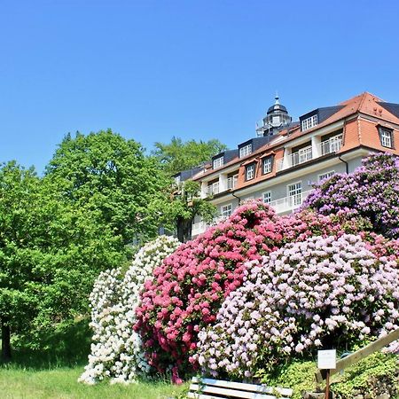Ferienwohnung Natur Und Kunst Дрезден Экстерьер фото