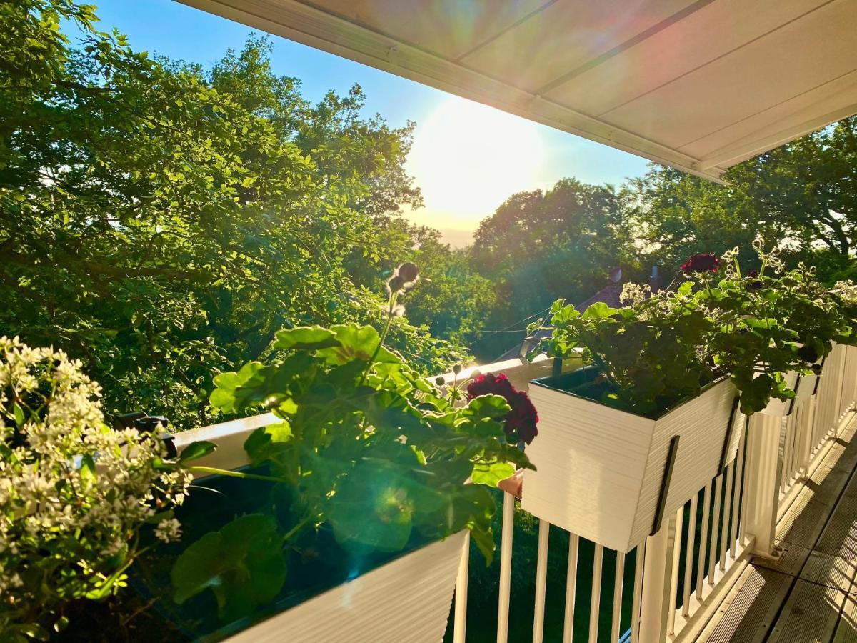 Ferienwohnung Natur Und Kunst Дрезден Экстерьер фото