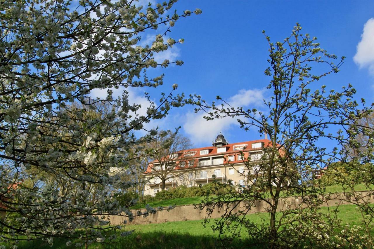 Ferienwohnung Natur Und Kunst Дрезден Экстерьер фото