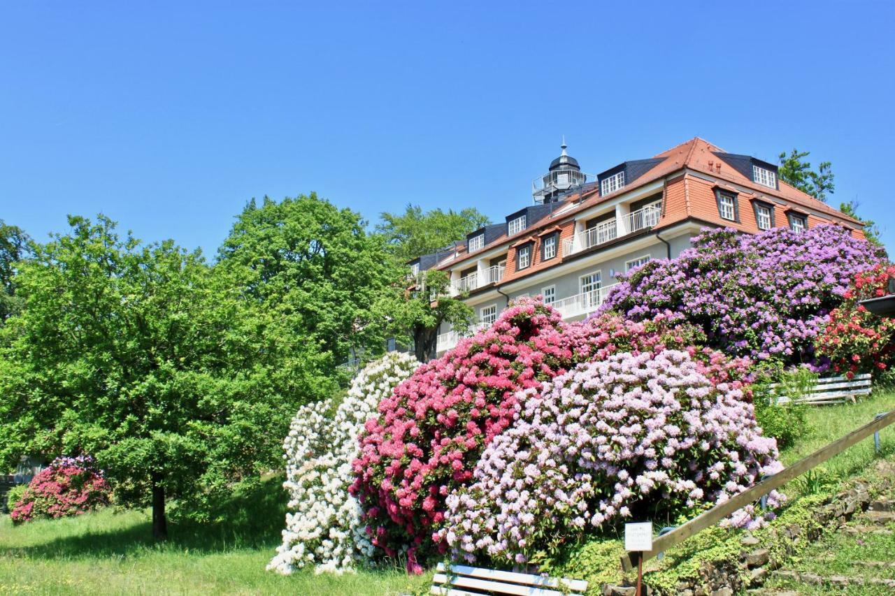 Ferienwohnung Natur Und Kunst Дрезден Экстерьер фото