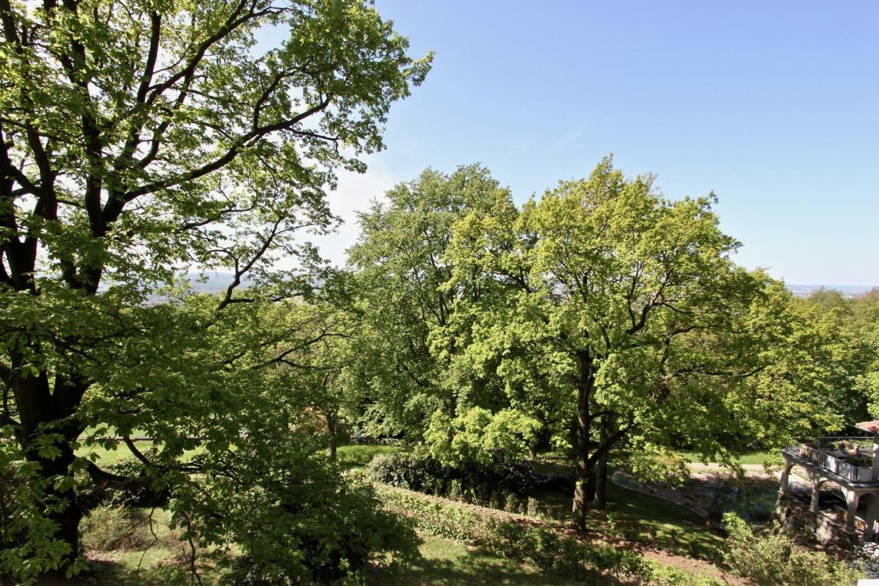 Ferienwohnung Natur Und Kunst Дрезден Экстерьер фото