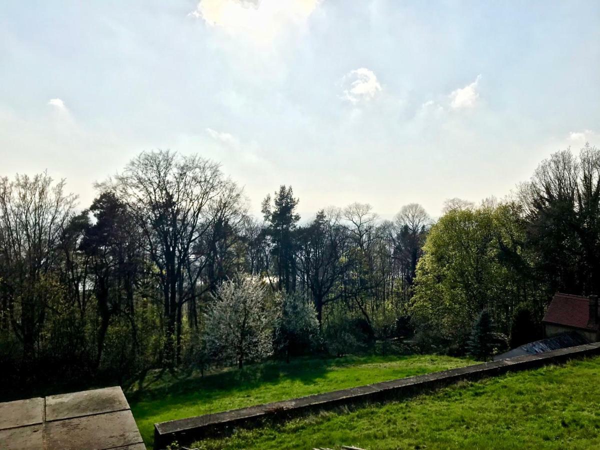 Ferienwohnung Natur Und Kunst Дрезден Экстерьер фото