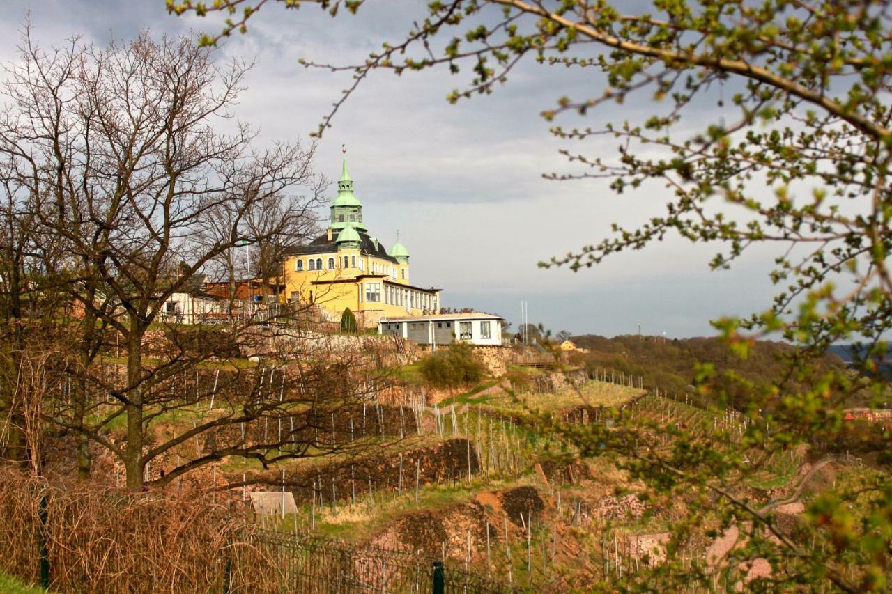 Ferienwohnung Natur Und Kunst Дрезден Экстерьер фото