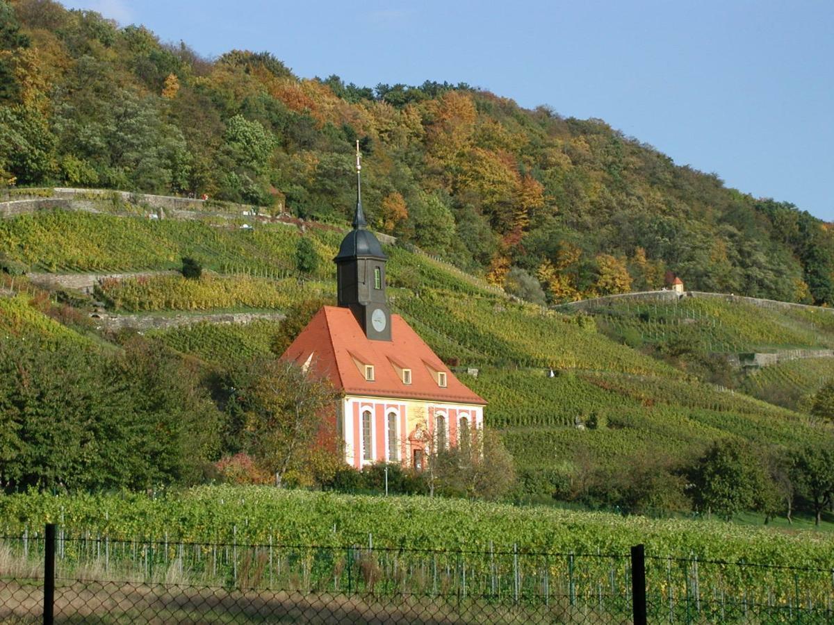 Ferienwohnung Natur Und Kunst Дрезден Экстерьер фото